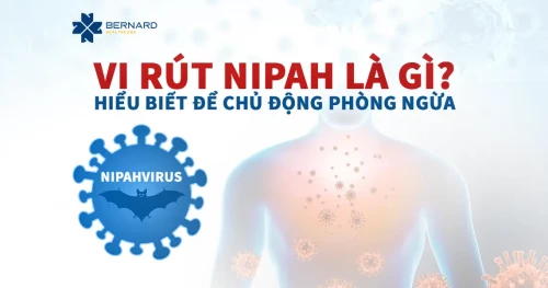 Vi rút Nipah là gì? Mức độ nguy hiểm và cách phòng ngừa